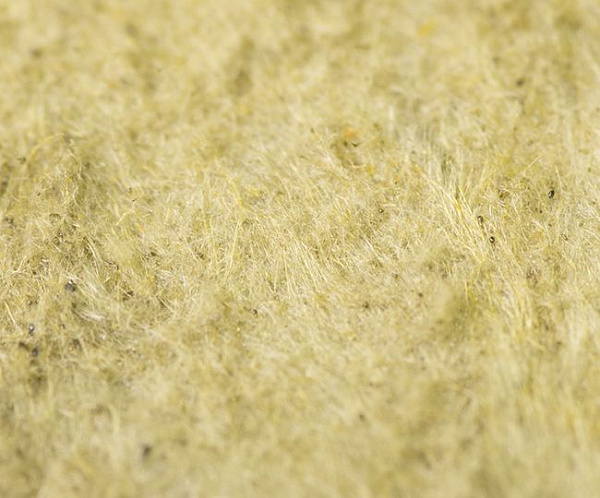 ФЛОР БАТТС ФЛОР БАТТС